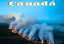Incêndio florestal no Canadá faz governo ordenar evacuações