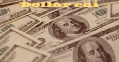 Dollar cai