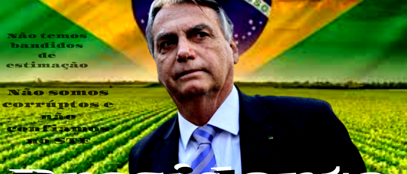 Presidente Bolsonaro - Bandeira do Brasil