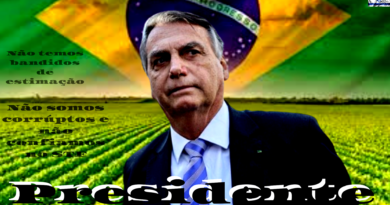 Presidente Bolsonaro - Bandeira do Brasil