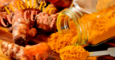 Turmeric - Curcuma