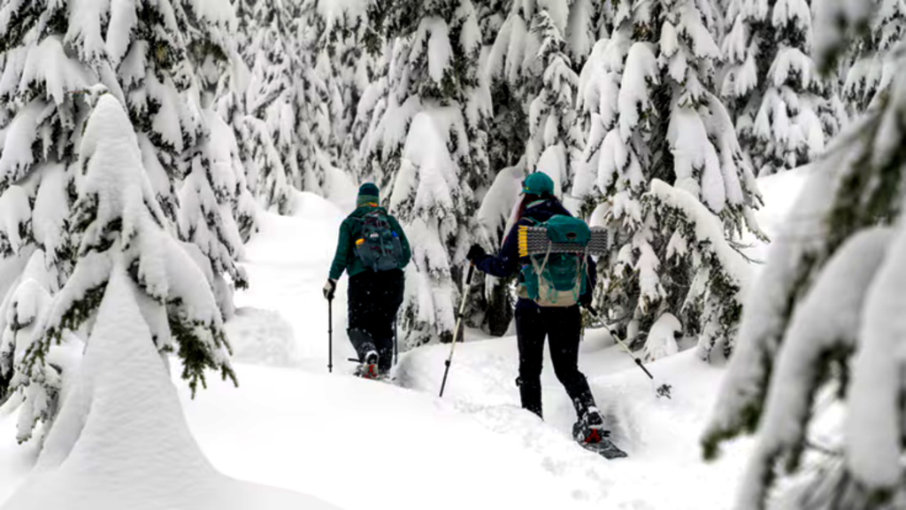 esportes para o inverno