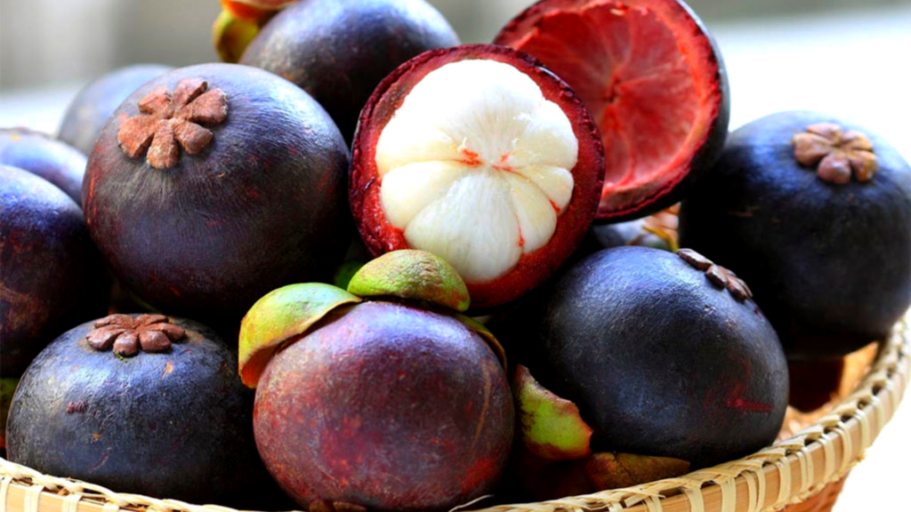 suco de mangostão 