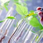 Engenharia Genética de Plantas para Resistência Climática