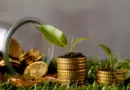 Como a Economia Verde Está Transformando Pequenas Empresas