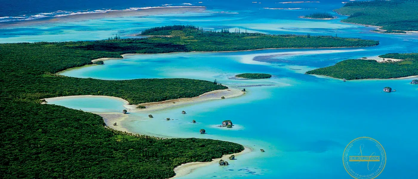 Corais da Nova Caledônia: Descubra o Paraíso Subaquático e suas Belezas Naturais