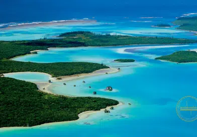 Corais da Nova Caledônia: Descubra o Paraíso Subaquático e suas Belezas Naturais